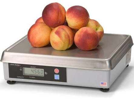 A photo of the Company Kitchen Scale