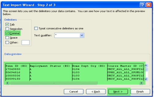 General - Text export wizard comma delimiter.png